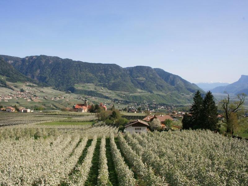 Residence Streitlhof Tirolo Zewnętrze zdjęcie