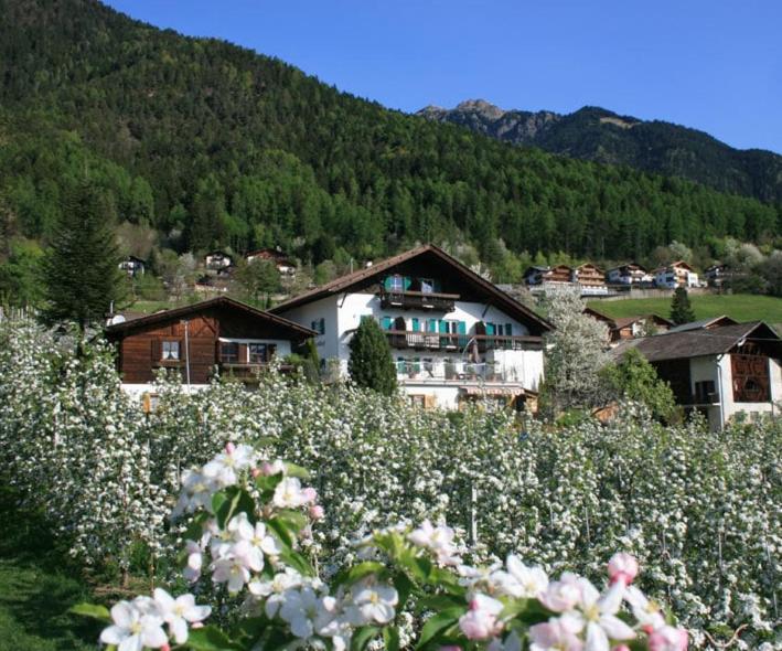 Residence Streitlhof Tirolo Zewnętrze zdjęcie